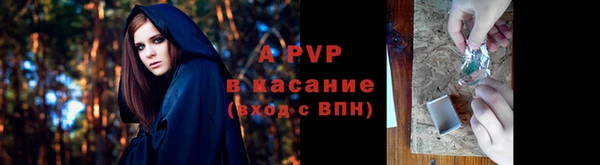 PSILOCYBIN Белокуриха