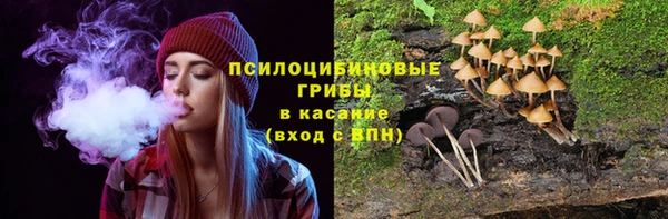 PSILOCYBIN Белокуриха