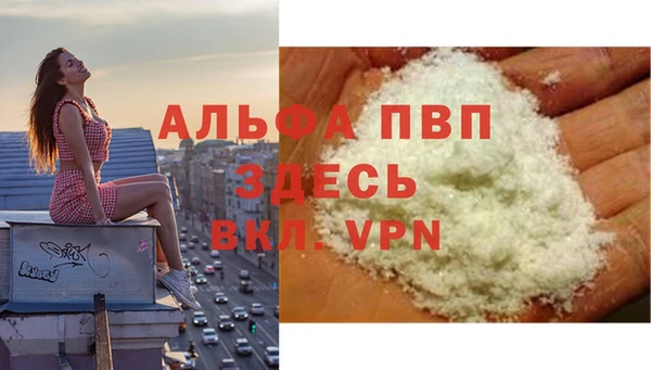 PSILOCYBIN Белокуриха