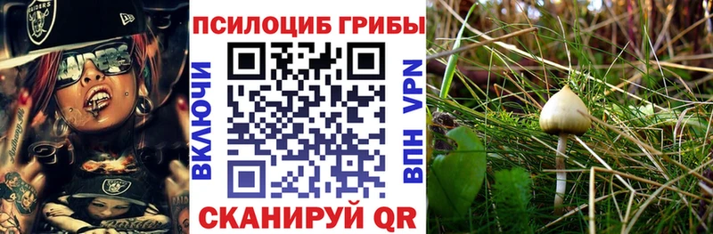 Галлюциногенные грибы мицелий  наркошоп  Константиновск 